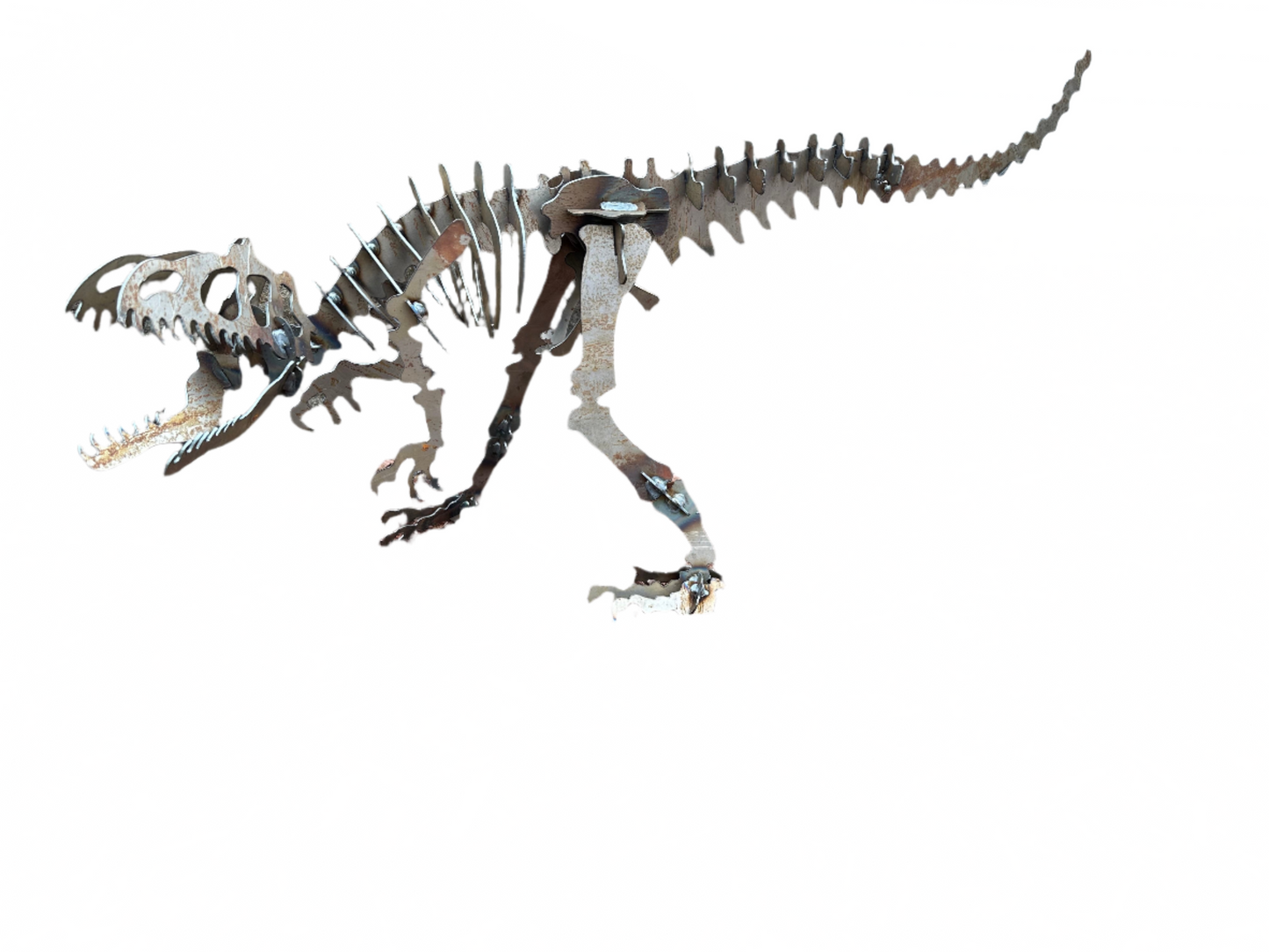 3D Welded Metal Allosaurus Dinosaur Skeleton Sculpture