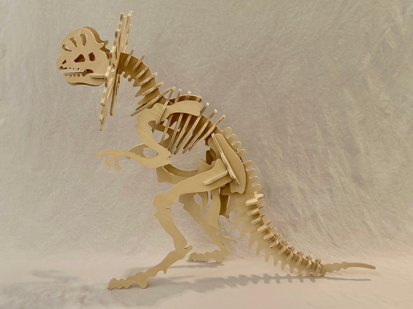 Large Dinosaur 3D puzzle Dilophosaurus