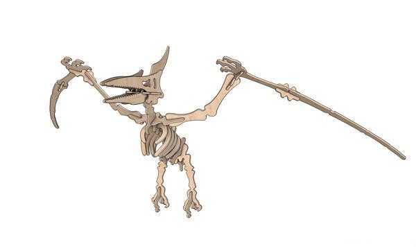 Giant 3D Pterodactyl Puzzle