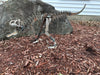 3D Welded Metal Allosaurus Dinosaur Skeleton Sculpture