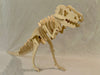 Giant T-Rex — Build One Right in Your Backyard or Living Room