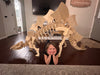 Stegosaurus - 3D Dinosaur wooden puzzle Kit