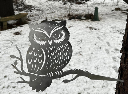 Great Horned Owl on Hammer in Branch