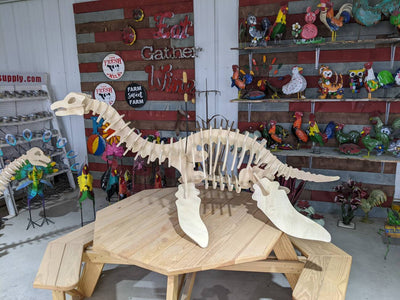 Giant Dinosaur 3D Plesiosaurus Skeleton- Free Shipping!