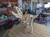 Giant Ferocious T-Rex 3D Puzzle
