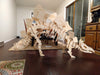 Stegosaurus - 3D Dinosaur wooden puzzle Kit