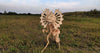 Giant Dinosaur 3D puzzle Dilophosaurus